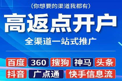 百度竞价赚钱攻略：实战案例分享